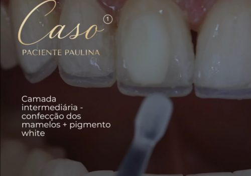 Mentoria Vip Presencial (7)